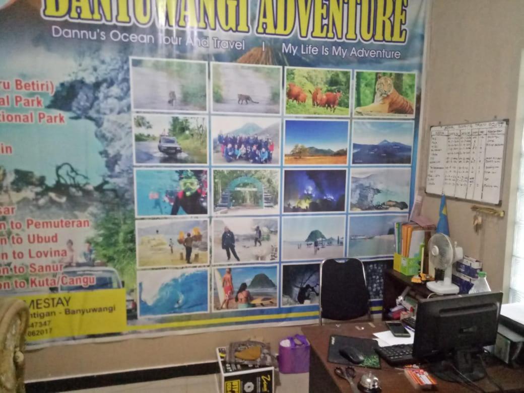 בניוואנגי Dannu'S Homestay & Ijen, Bromo, Meru Betiri Sukomade Tours מראה חיצוני תמונה
