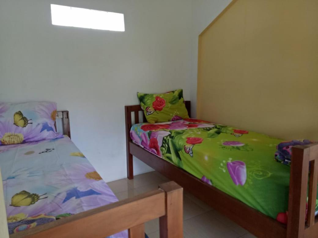 בניוואנגי Dannu'S Homestay & Ijen, Bromo, Meru Betiri Sukomade Tours מראה חיצוני תמונה