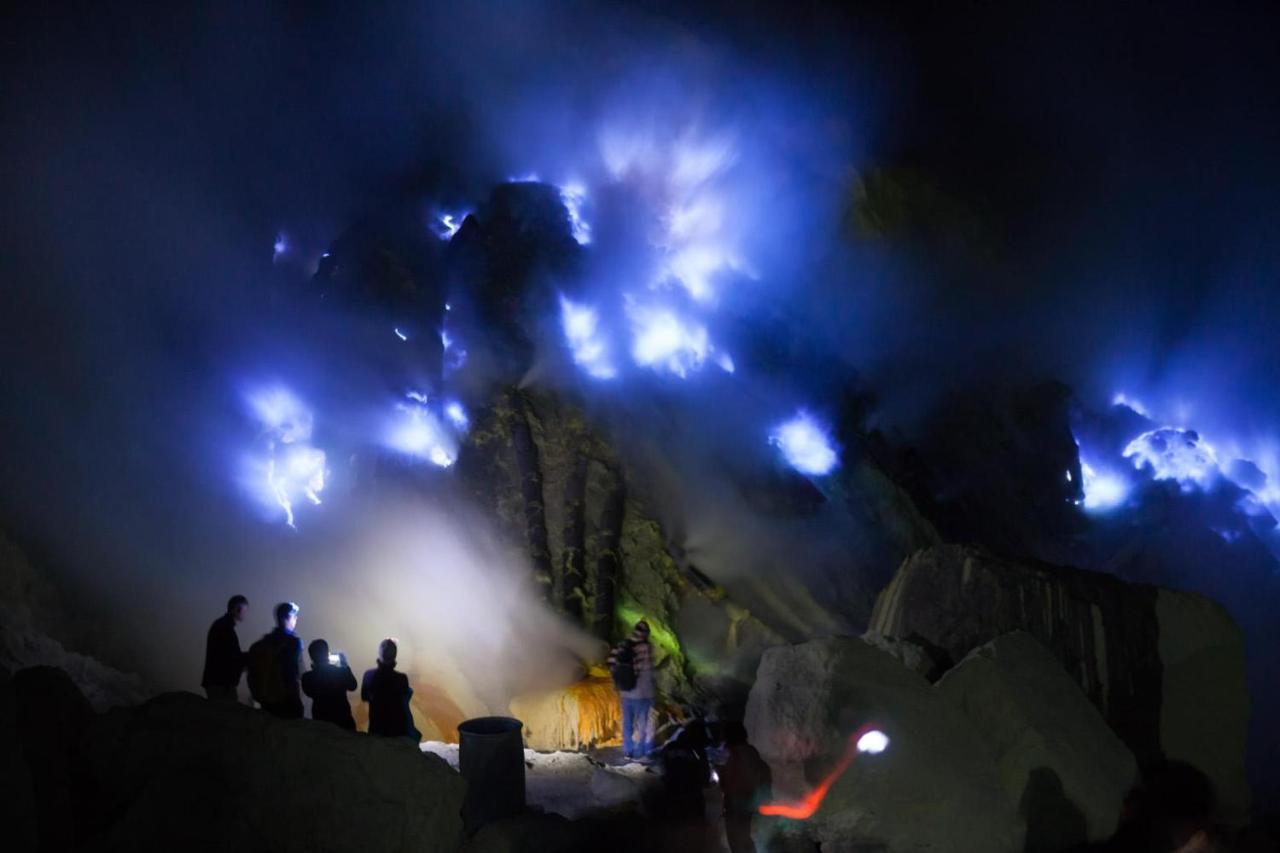 בניוואנגי Dannu'S Homestay & Ijen, Bromo, Meru Betiri Sukomade Tours מראה חיצוני תמונה