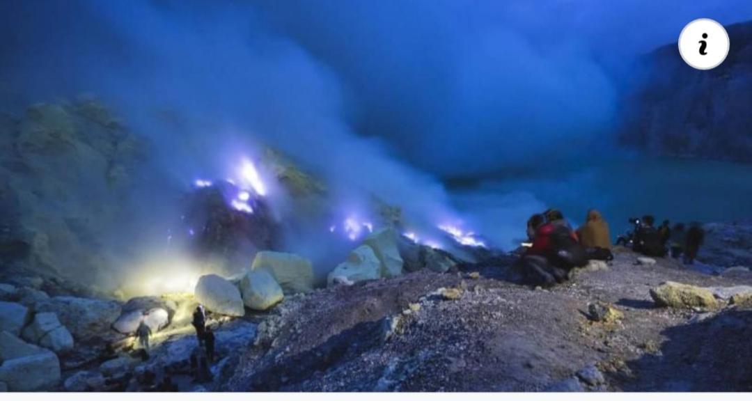 בניוואנגי Dannu'S Homestay & Ijen, Bromo, Meru Betiri Sukomade Tours מראה חיצוני תמונה
