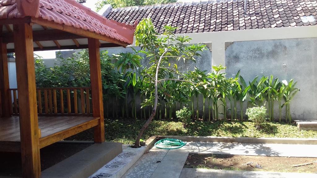 בניוואנגי Dannu'S Homestay & Ijen, Bromo, Meru Betiri Sukomade Tours מראה חיצוני תמונה
