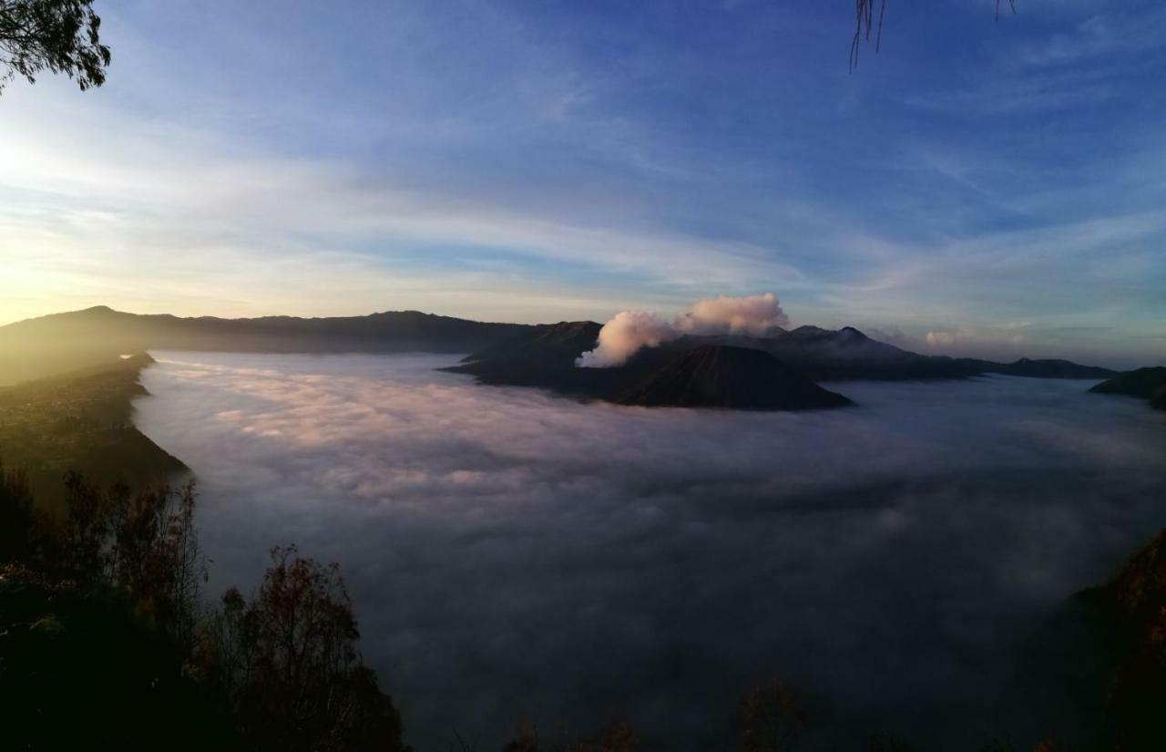 בניוואנגי Dannu'S Homestay & Ijen, Bromo, Meru Betiri Sukomade Tours מראה חיצוני תמונה